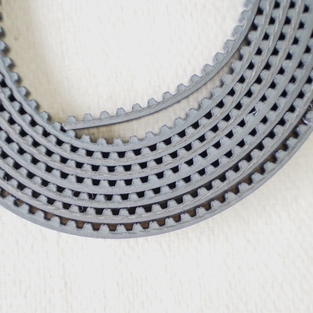 Ditec BIS Main Drive Belt
