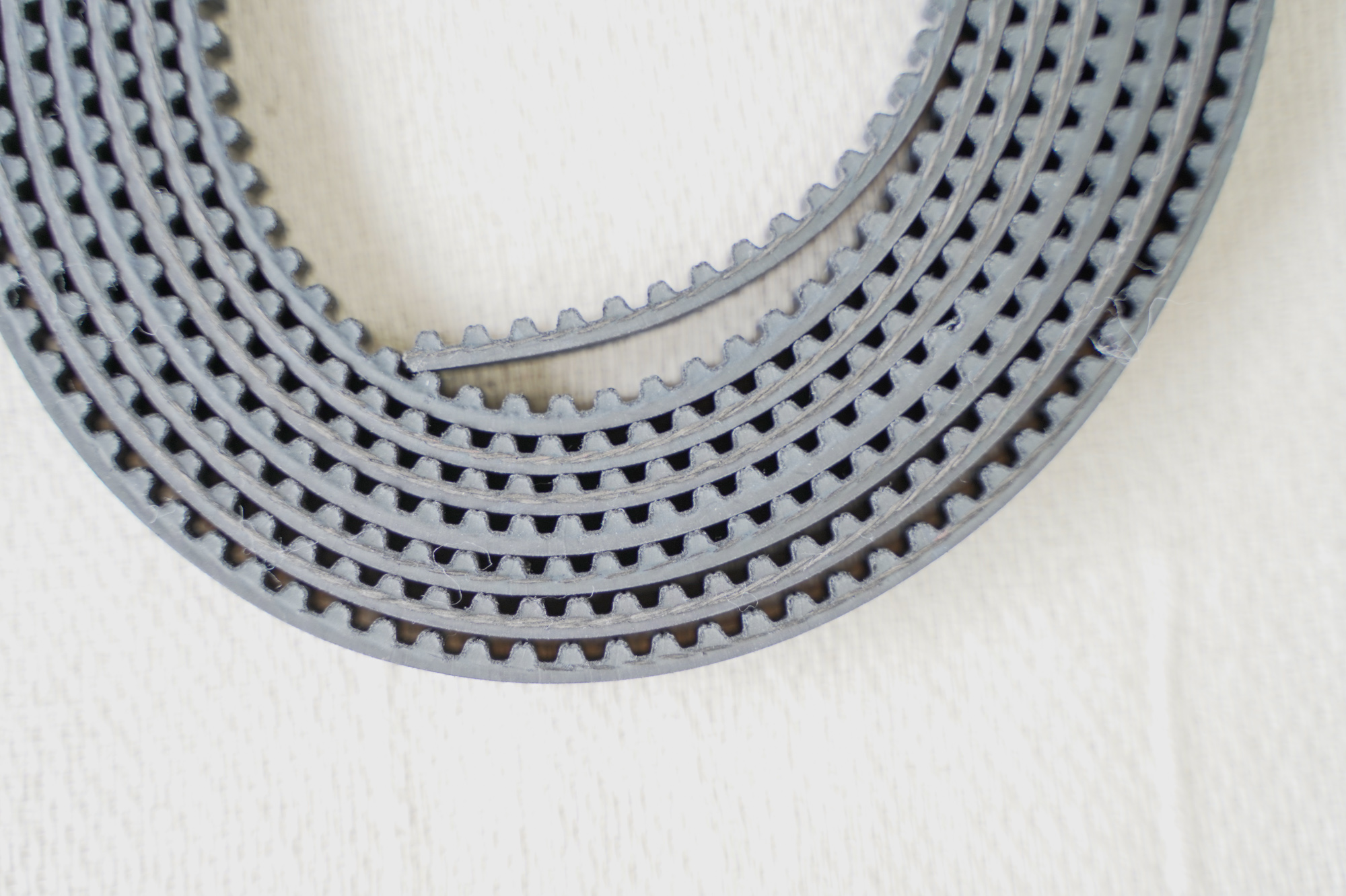 Ditec BIS Main Drive Belt