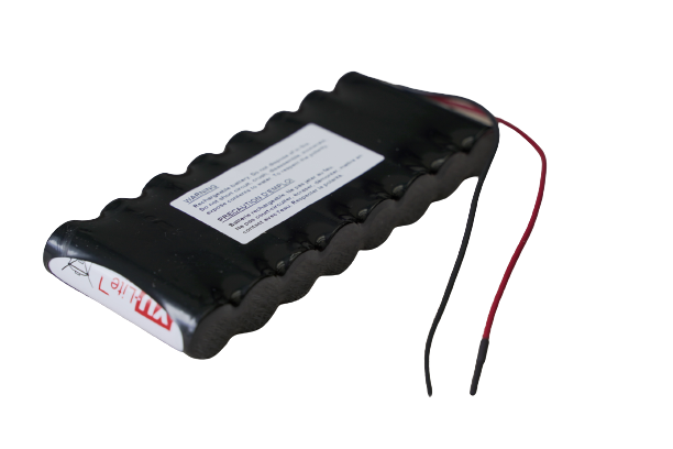 Dorma ES Series Replacement Battery